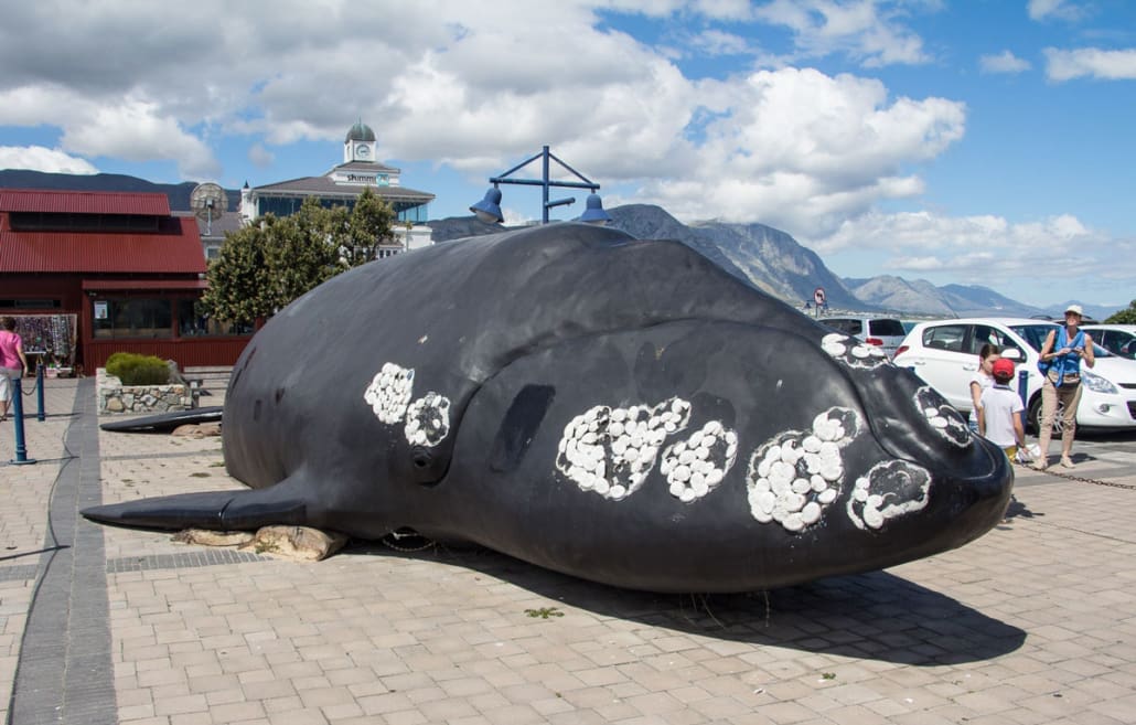 Hermanus Südafrika Wal Garden Route
